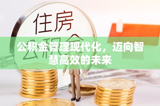德城公积金管理现代化，迈向智慧高效的未来