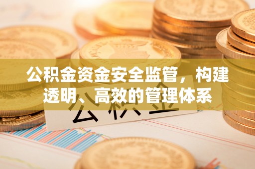 德城公积金资金安全监管，构建透明、高效的管理体系