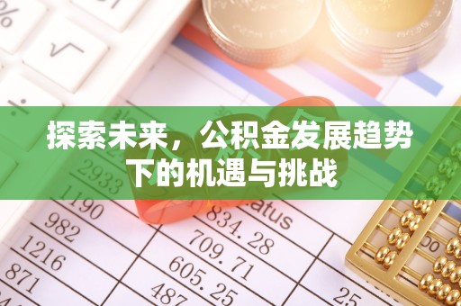 德城探索未来，公积金发展趋势下的机遇与挑战