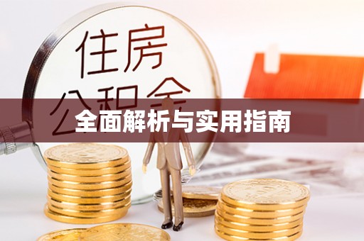 德城全面解析与实用指南